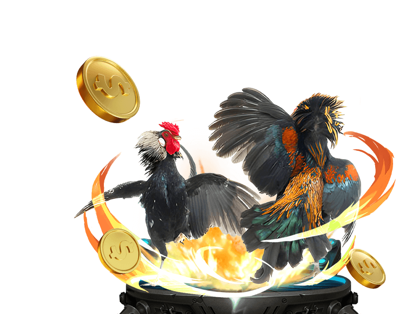 Đá Gà Trực Tuyến 8kbet